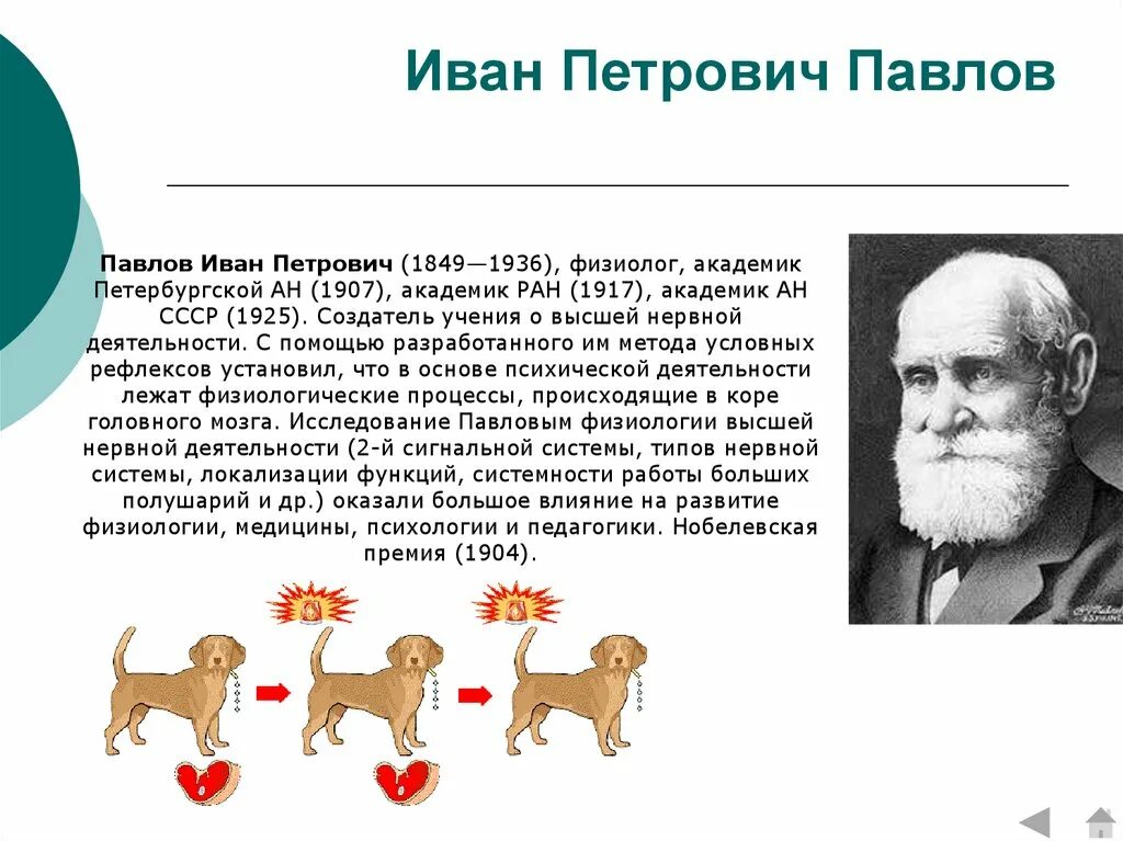 Открытия и п павлова. Ивана Петровича Павлова(1849 – 1936).