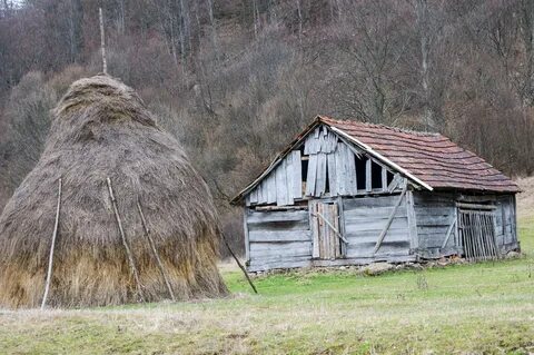 Сарай для сушки снопов сканворд