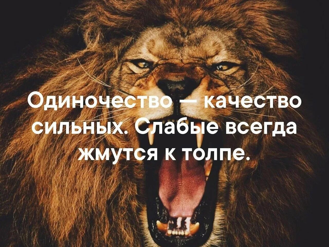 Слабые боятся сильных