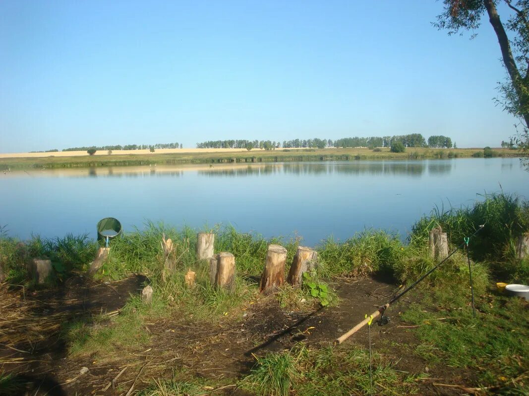 Село волостниковка ульяновская. Пруд волостниковка ульяновский. волостниковка пруд ульяновская область. волостниковка ульяновск озеро. волостниковка ульяновская область ульяновский.