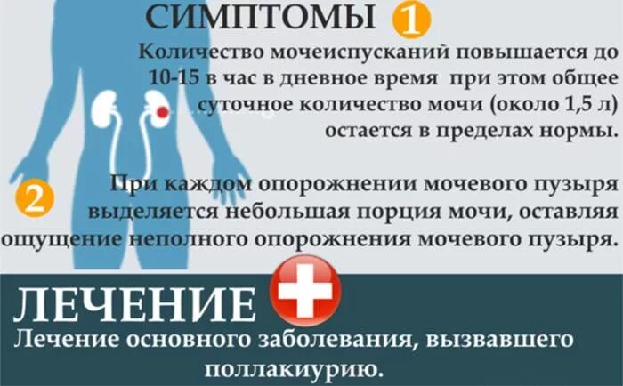 Застудила почки чем лечить у женщин. Почки симптомы болезни у женщин. симптомы больных почек. болят почки симптомы. признаки проблем с почками.