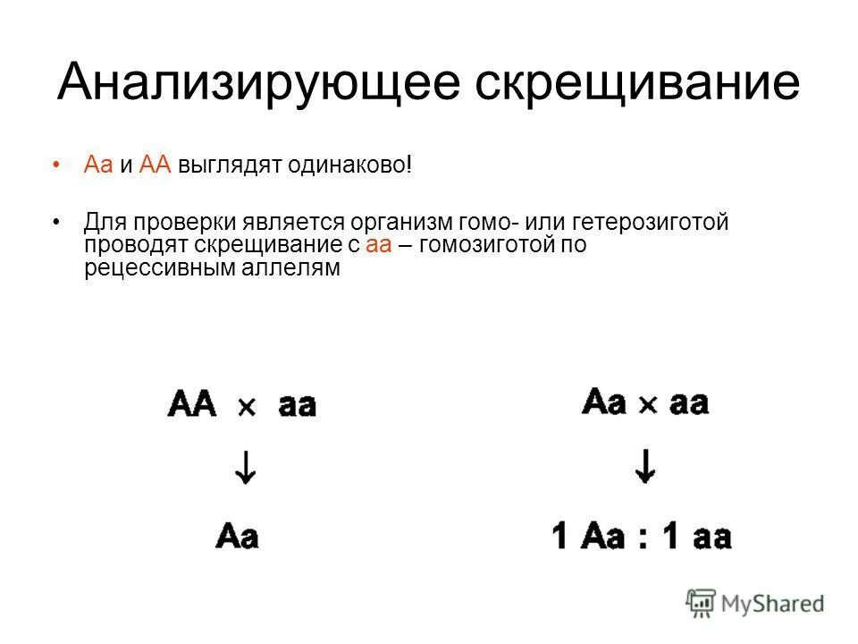 Схема анализирующего скрещивания. Анализирующее скрещивание менделя. Анализирующее скрещивание пример. Анализирующее скрещивание пример. Анализирующее скрещивание это скрещивание.