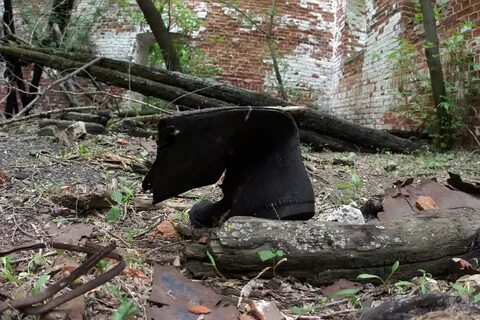 Погода орехово волгоградская область даниловский
