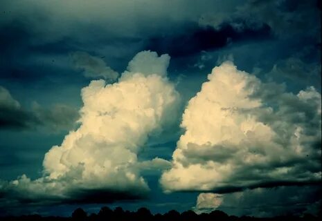 Bill cloud