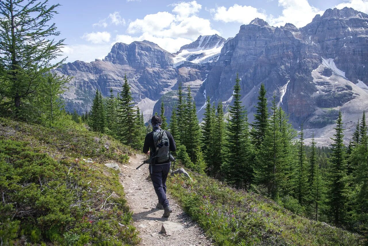 Deep jungle. Треккинг хайкинг. Хайкинг. Хайкинг картинки. Explore an area.