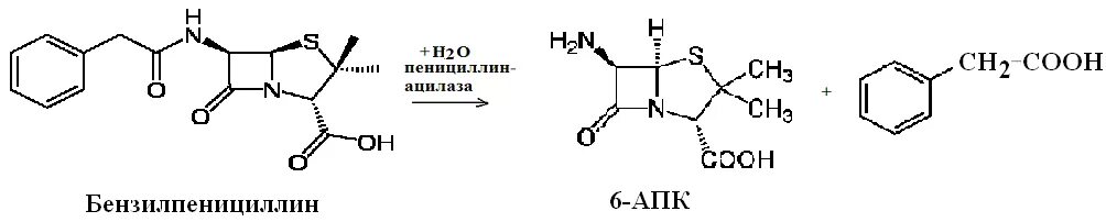 Синтез пенициллина. Биосинтез пенициллина схема. Синтез бензилпенициллина. Гидролиз бензилпенициллина. Бензилпенициллин гидролиз.