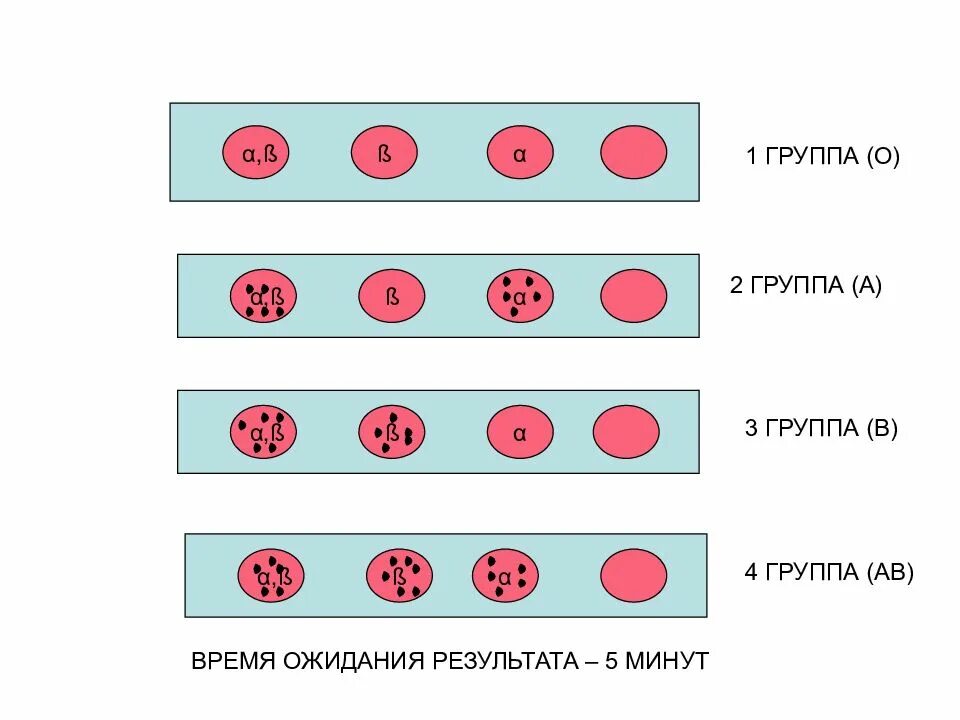 Фактор группы крови. Группа крови и резус-фактор. Группа крови и резус. Группа резус фактор. 2 Группа крови.