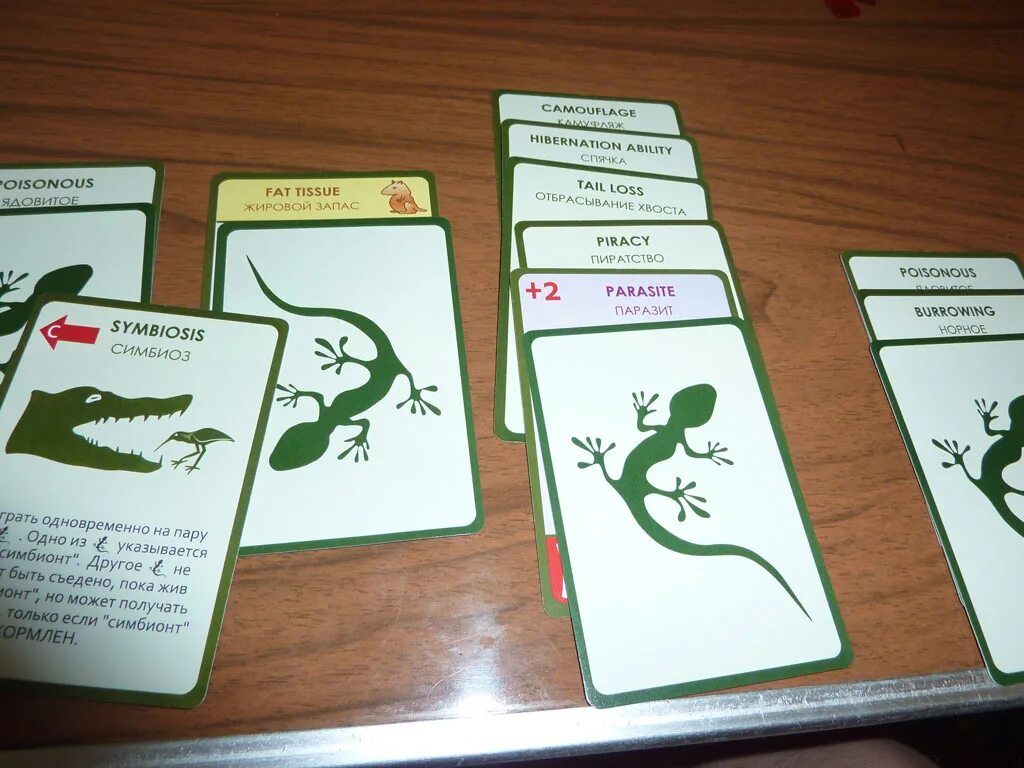 Карты животных игра. Игра эволюция. эволюция настольная игра. эволюция игра карточки. настольная игра паразит.