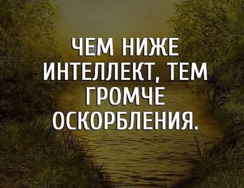 Цитаты отвечу. Цитаты про оскорбления. афоризмы про оскорбления. цитаты про оскорбления и унижения. обидные цитаты.