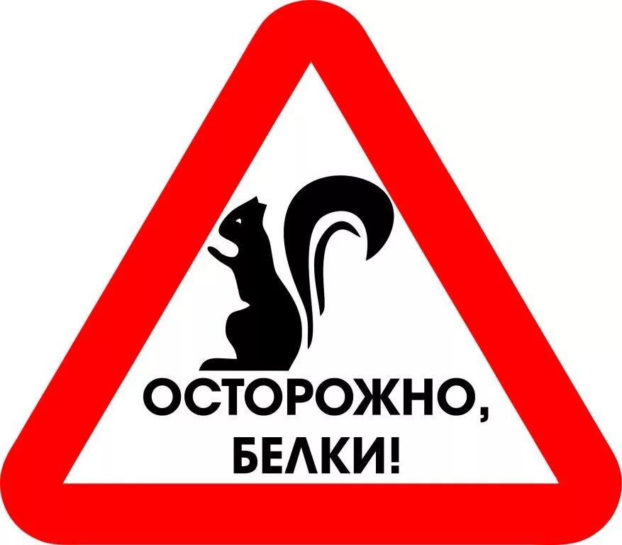 Плотный осторожно. Смешные знаки. Дорожный знак осторожно белки. Осторожно белки. Табличка осторожно.