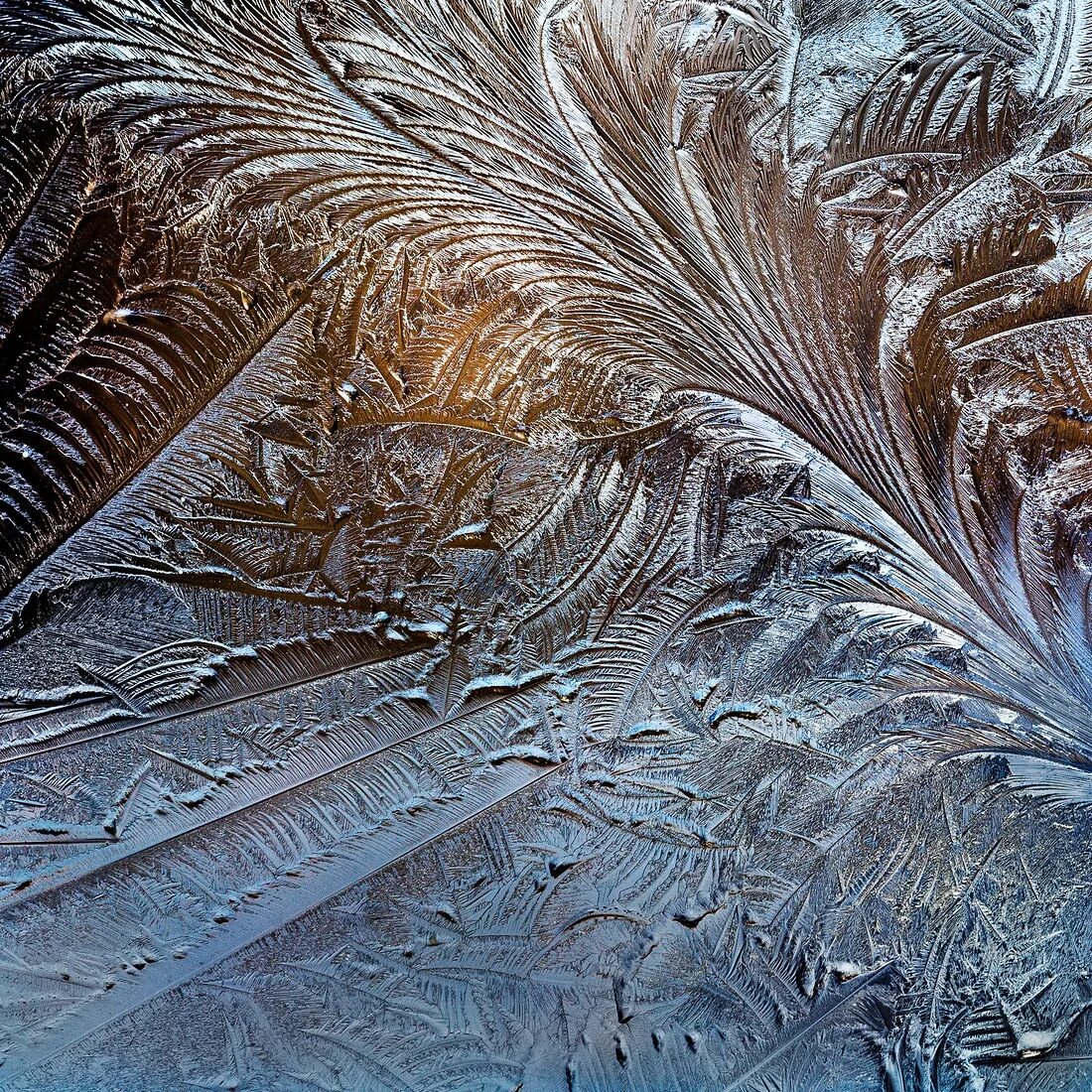 Морозные породы. Трихиты иней. морозные узоры дендриты и трихиты. морозные узоры. морозные узоры на стекле.
