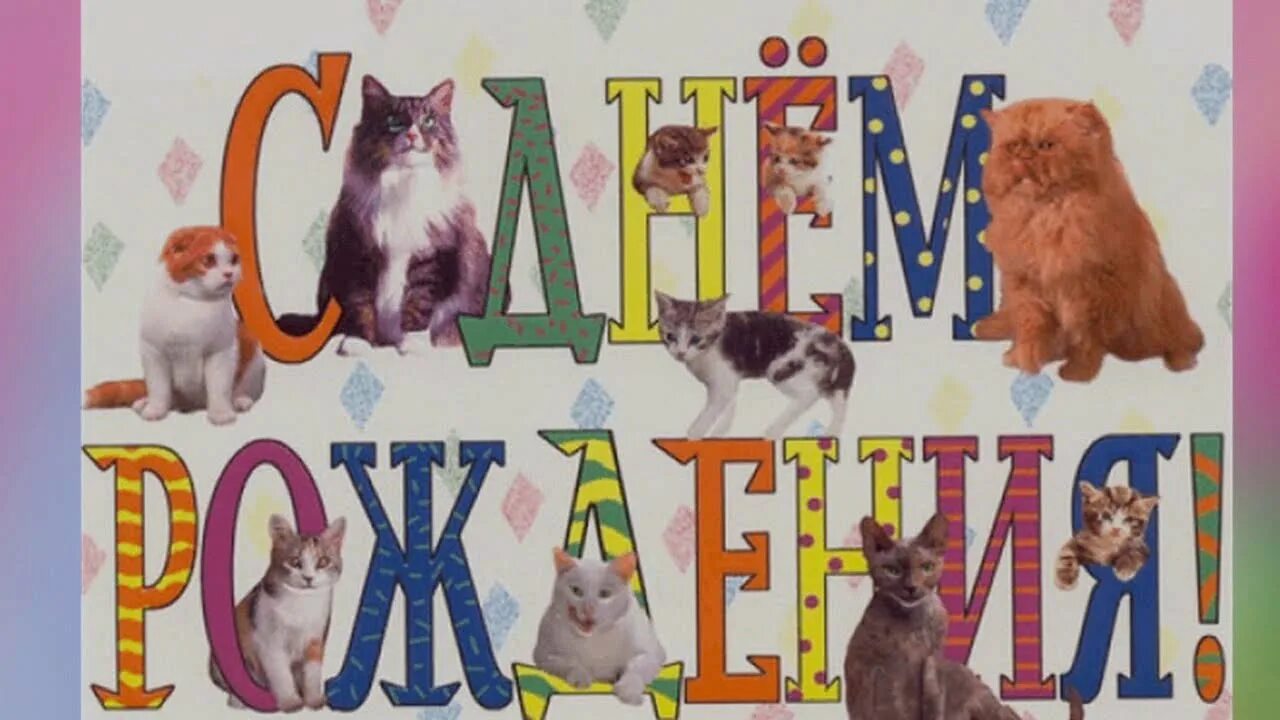 С днём рождения с котиками. Милые поздравления. Поздравления с днем рождения женщине кошке. Открытки с днём рождения с котиками. Открытка с днём рождения с котом.