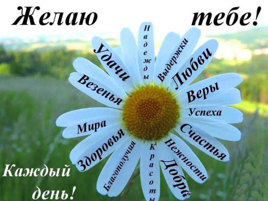 Пожелания удачи и успеха. Добрые стихи о жизни и счастье. Пожелание дальнейших успехов. Мешочек удачи. Желать дата.