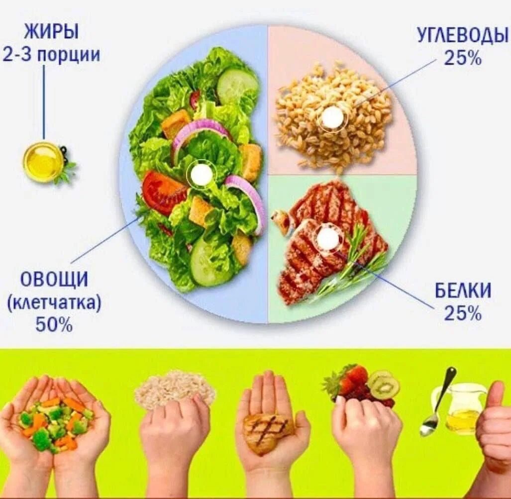 Порционная посуда. Система порций для похудения отзывы. Порция еды. Система порций для похудения отзывы. Система порций для похудения отзывы.