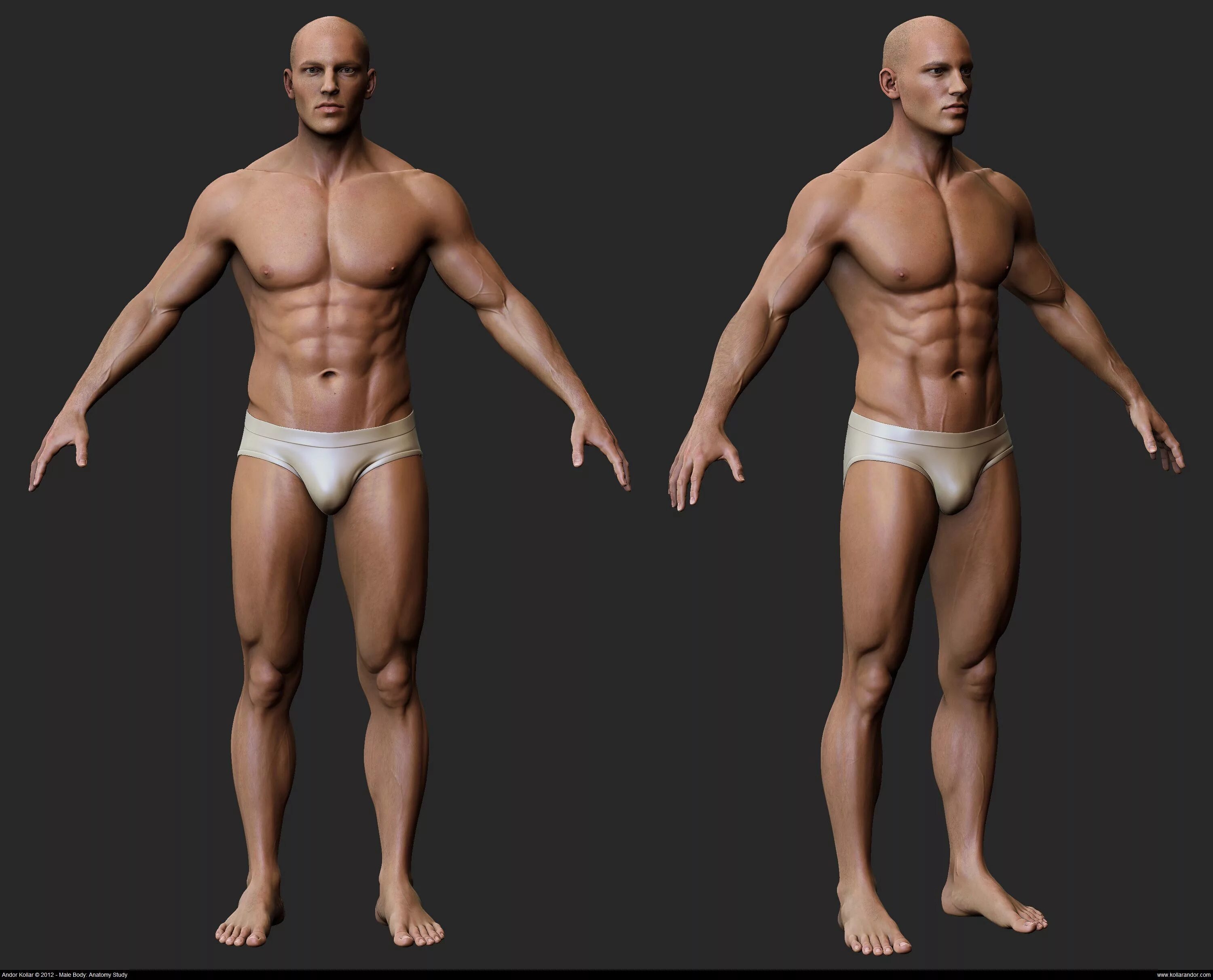 3d body modeling