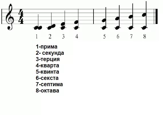 Second секунда. Прима секунда Терция Кварта. Прима секунда Терция Кварта Квинта Секста Септима Октава. Октава Квинта Кварта. Терция Кварта Прима Октава.