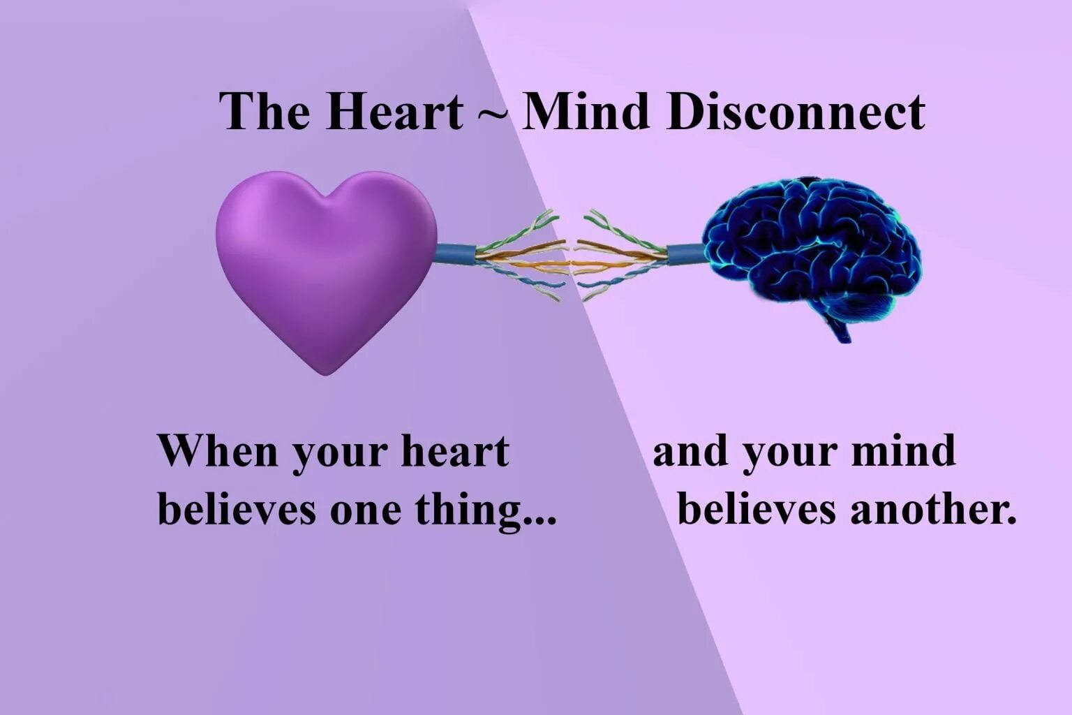 Mind and Heart. Модель Hearts and Minds. Mind Heart and Spirit. Heart Mind перевод. Heart over mind перевод на русский