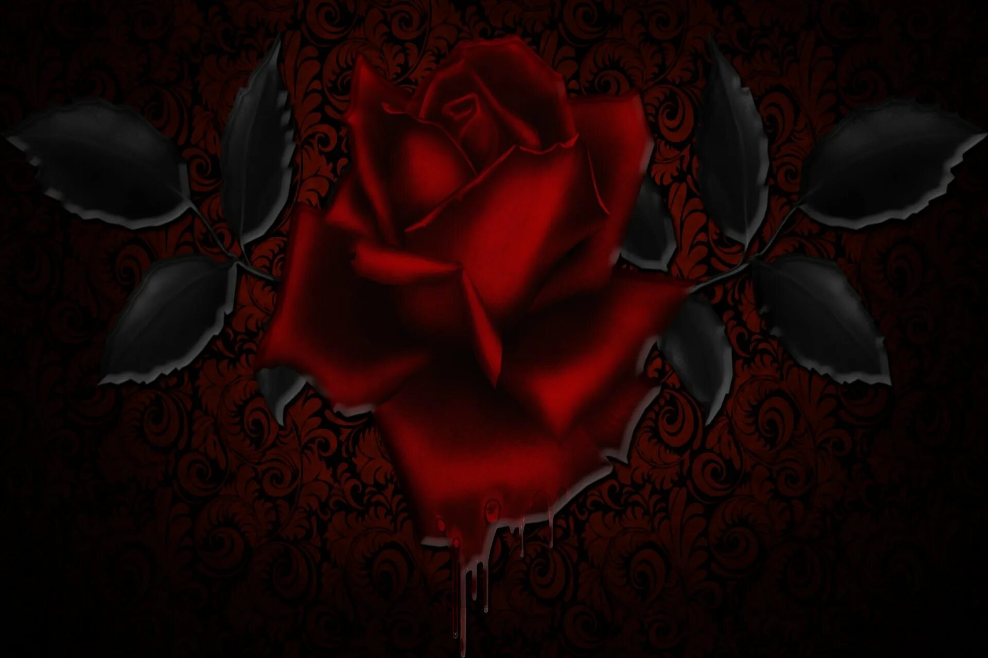 Кроваво красные розы.