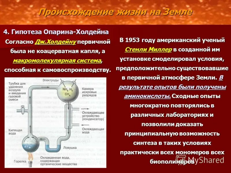 гипотезы возникновения жизни первичный бульон. гипотезы происхождения жизни теория опарина холдейна. теория возникновения жизни на земле опарин. этапы опарина холдейна. опарин происхождение жизни на земле.