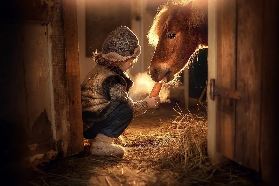 Детская фотосессия с лошадьми. Любопытство. Конюшня для детей. Фотосессия в конюшне с лошадью. Мальчики в конюшне