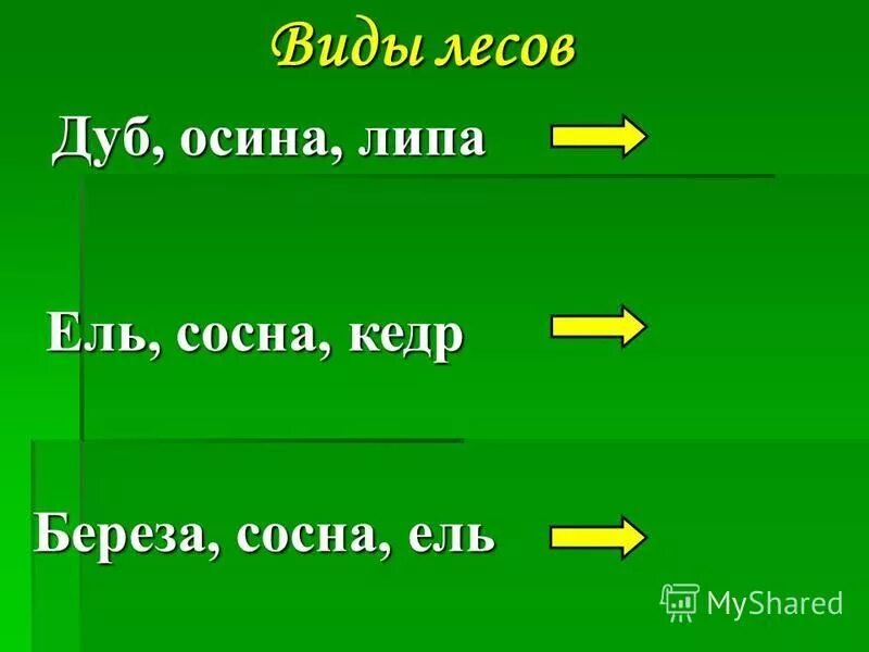 Окружающий мир 4 класс тест леса россии