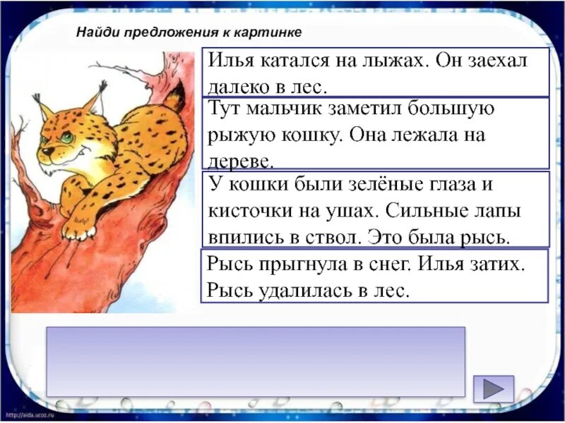 Рысь составить предложение. На дереве лежит пушистая рыжая кошка. предложение про рысь. на дереве лежала рыжая кошка. предложение про кошку.