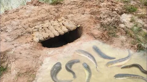 Trap hole