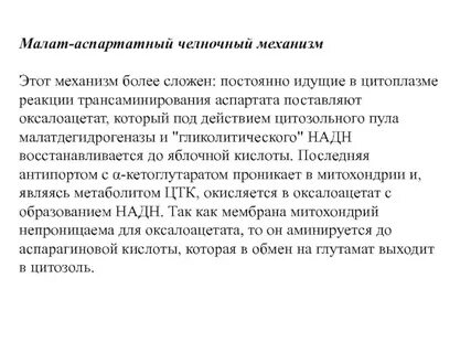 Малат аспартатный челночный механизм биохимия
