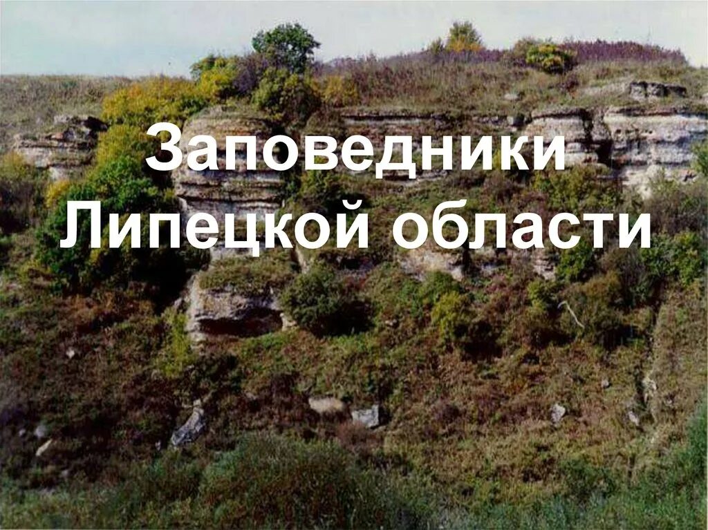 Заповедники липецкой област. Воронеж галичья гора расстояние. Липецк галичья гора заповедник. Галичья гора заповедник местоположение. Презентация на тему галичья гора.