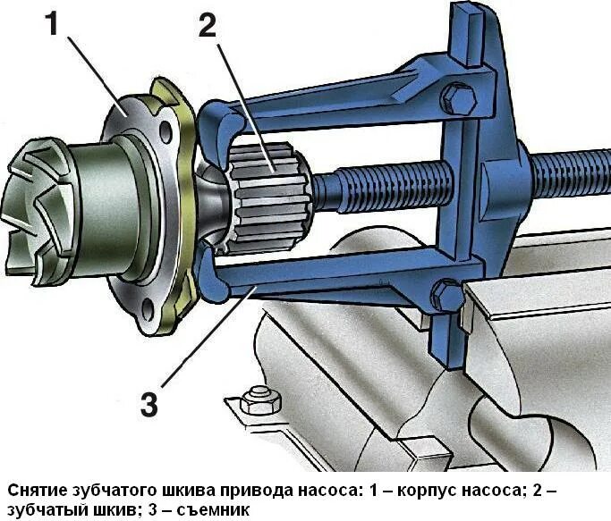 Разбор помпы. Насос охлаждающей жидкости ВАЗ 2114. Насос охлаждающей жидкости ВАЗ 2110. Помпа охлаждения двигателя ВАЗ 2114. Насос охлаждающей жидкости 2115.