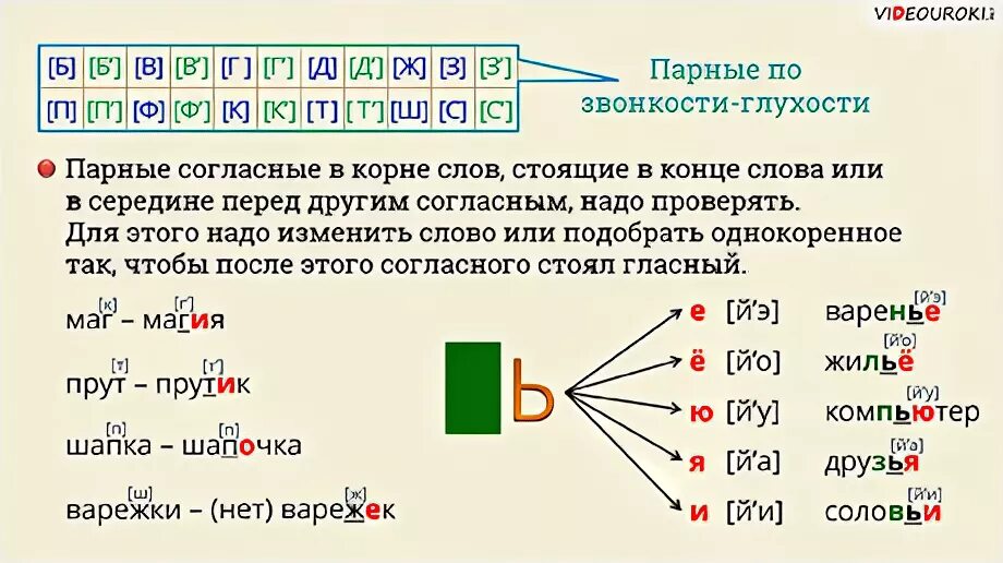 Слова с парными по глухости-звонкости согласным звуком. Парные по глухости-звонкости согласные слова. Парный согласный звук в слове. Слова с парным по глухости-звонкости согласным звуком на конце. Разбор слова парная