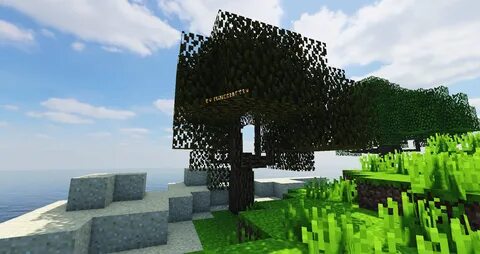 Minecraft dynamic