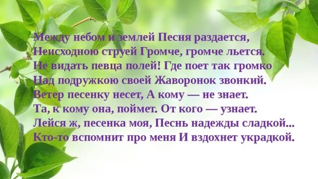 Звонко песня раздается. Между небом и землей Жаворонок вьется. Между небом и землей текст. Между небом и землей Жаворонок вьется стихи. Между небом и землей Жаворонок вьется текст.