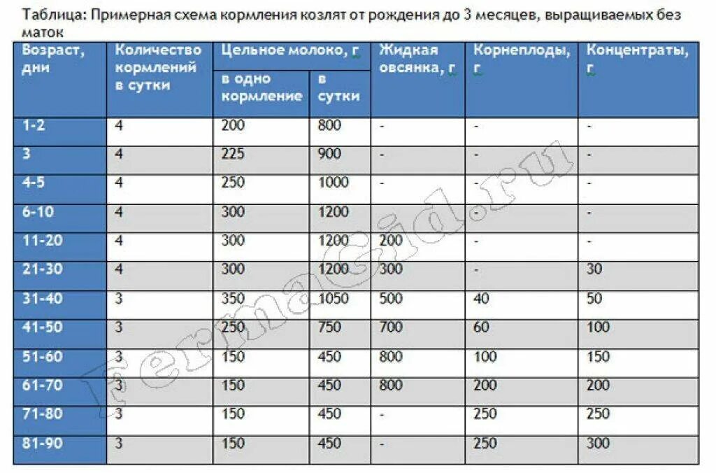 Сколько давать молоко козлятам. Таблица кормления козлят с 1 месяца. Норма кормления козлят в 1 месяц. Рацион кормления козлят с 1 месяца. Таблица кормления новорожденных козлят.