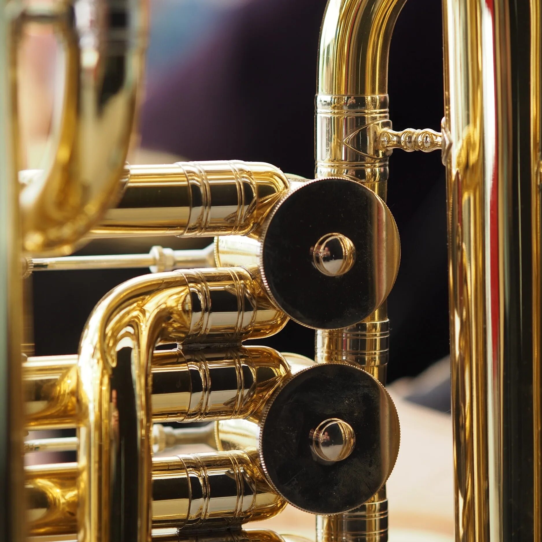 духовые инструменты музыка. саксофон альт и тенор. музыкальный инструмент духовой. джазовый духовой инструмент трампет. бас-кларнет деревянный духовой музыкальный инструмент.
