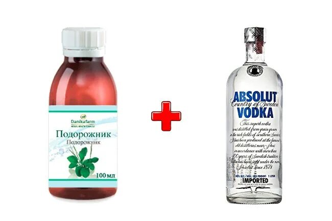 Подорожник можно беременным. Водка подорожник. настойка подорожника. настойка подорожника от кашля. экстракт подорожника от кашля.