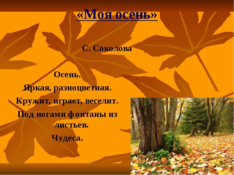 Проект осень 5 класс Проектная деятельность Начальные классы Презентации 4 класс