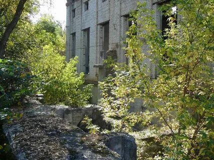 Отрадное михайловский
