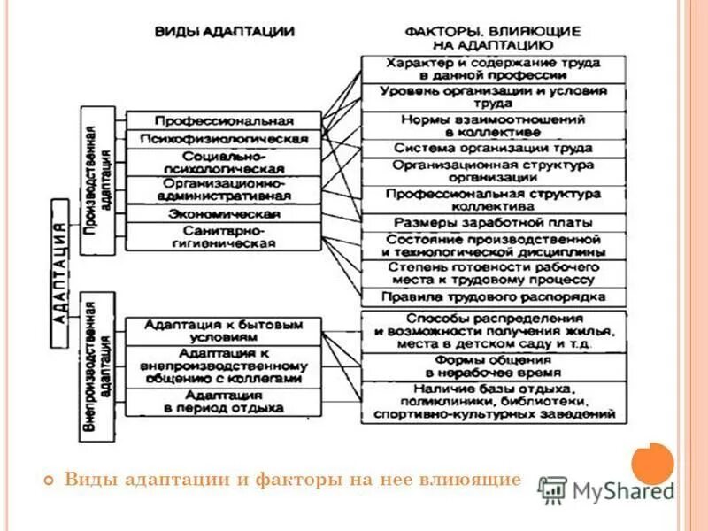 Укажите виды адаптации специфическая адаптация самоадаптация. Укажите виды адаптации специфическая адаптация самоадаптация
