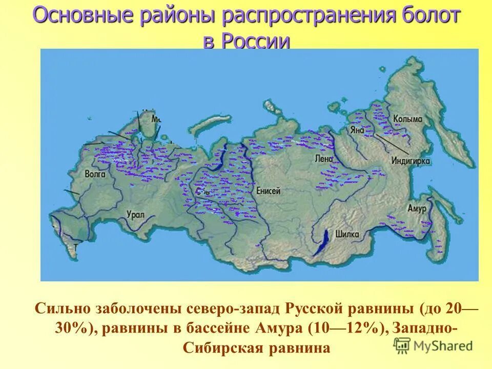 Самые крупные болота в России на карте. Карта распространения болот на территории России. Заболоченные территории России на карте. Основные районы распространения болот в России.