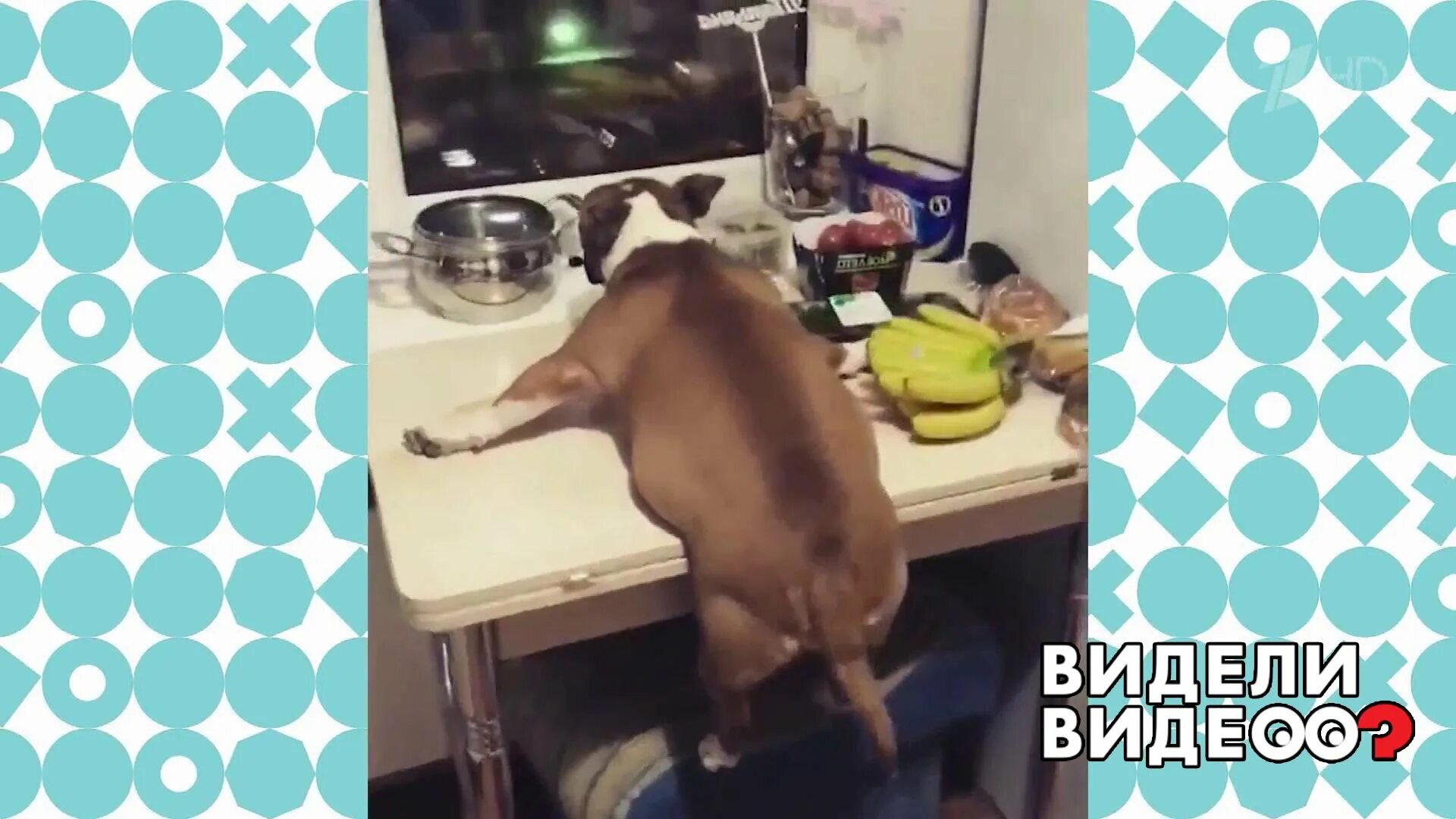 Видели видео. Видели видео добавить видео. Как отправить фото в интернет. Видели видео добавить видео. Видели видео фото.