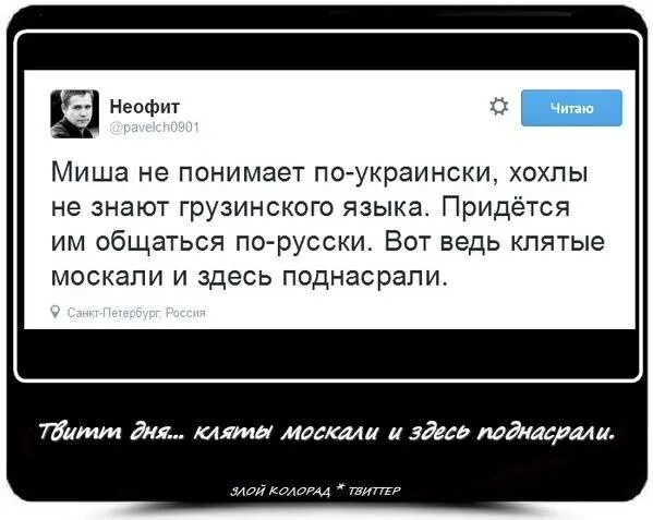 Украинский рассказ. Понимаю на украинском языке. Картинки с надписями кастрюлеголовые. Латинский переводчик. Понимаю на украинском языке.