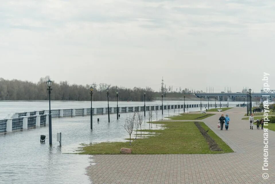 Уровень воды смоленск сож. Гомель набережная. Набережная в Гомеле паводок. Гомель затопило набережную. Набережная СОЖ.