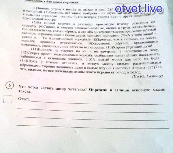 Гнездо что хотел сказать автор читателю. Что хотел сказать Автор читателю со времен Петра первого. Что хотел сказать Автор читателю про памятнике. Главная мысль из текста ВПР про медведя Михаила по г. я. Снегирёву.