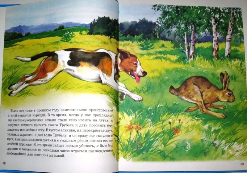 О животных для детей 3 класс. Природа Михаила Пришвина.