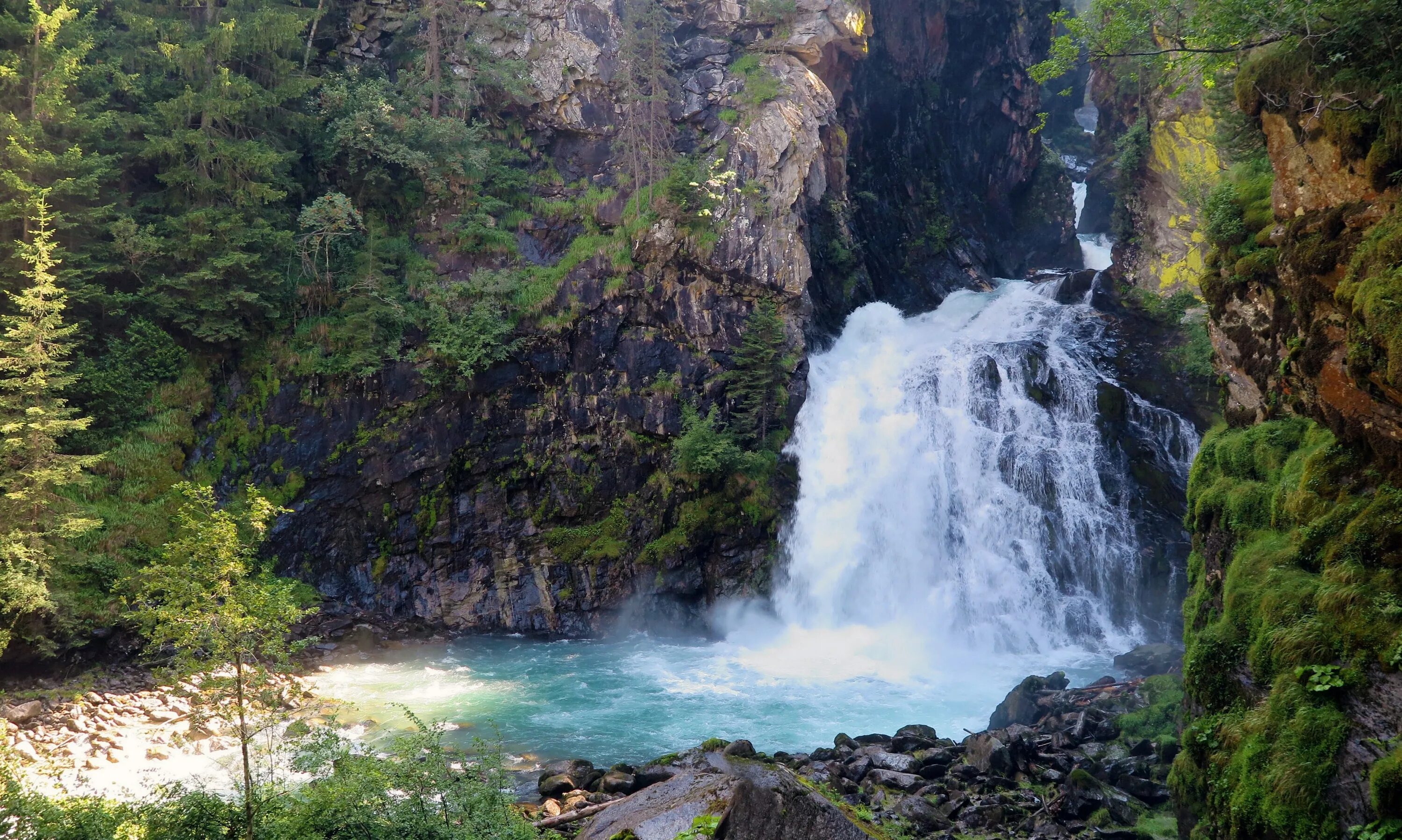 Tree falls