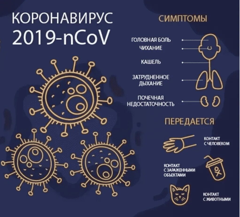 Коронавирус основные. Коронавирус инфографика. Инфографика коронавирус симптомы. Инфографика интересные факты. Инфографика ковид.