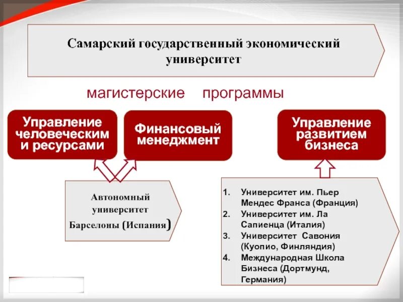 Управление человеческими ресурсами университеты
