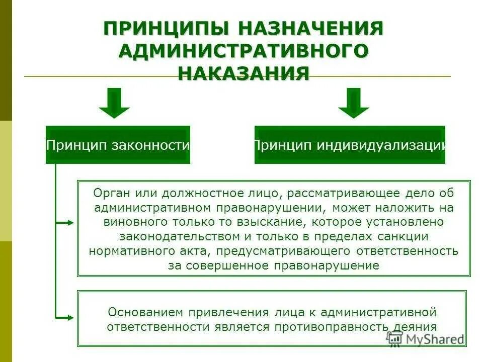 Основные и дополнительные административные наказания. Принципы назначения административных наказаний. Административная ответственность схема. Административные наказания схема. Порядок назначения административного штрафа.