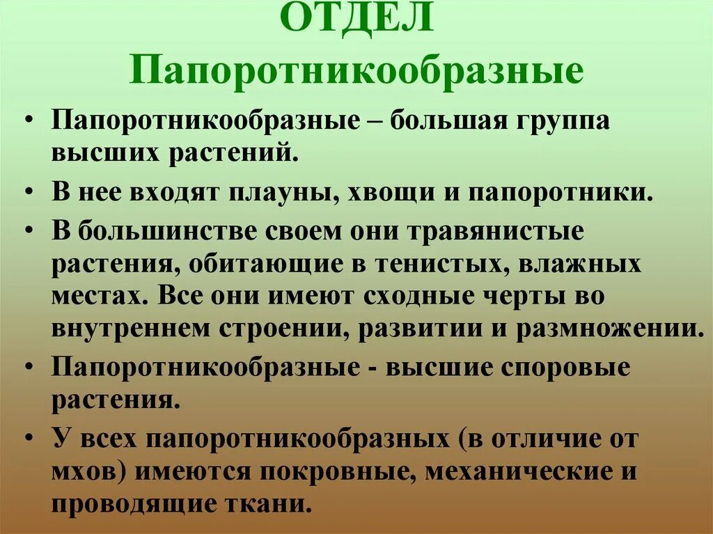 Какие особенности строения и физиологии папоротникообразных